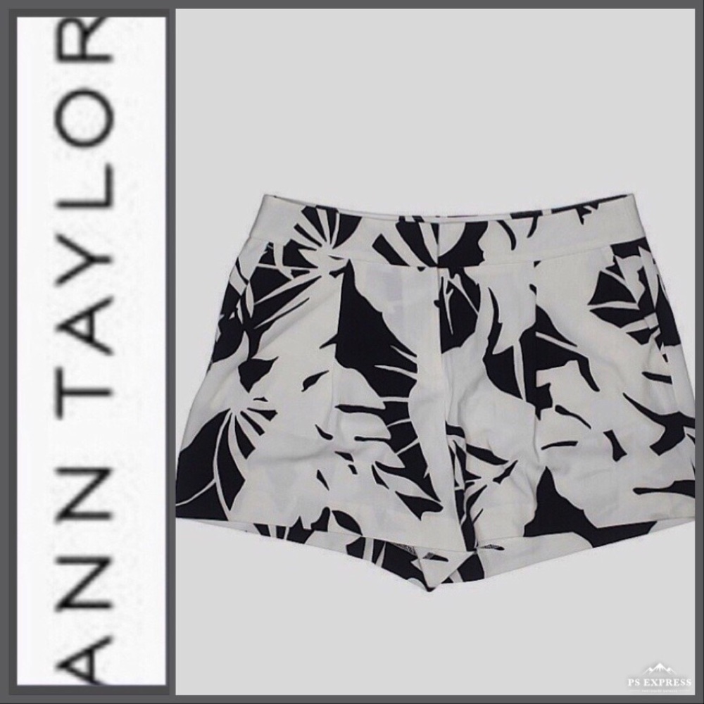 Ann Taylor White and Navy Shorts Size 8